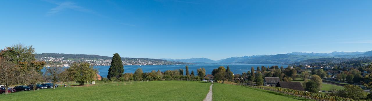 Landgasthof Halbinsel Au Hotel Wädenswil Exterior foto