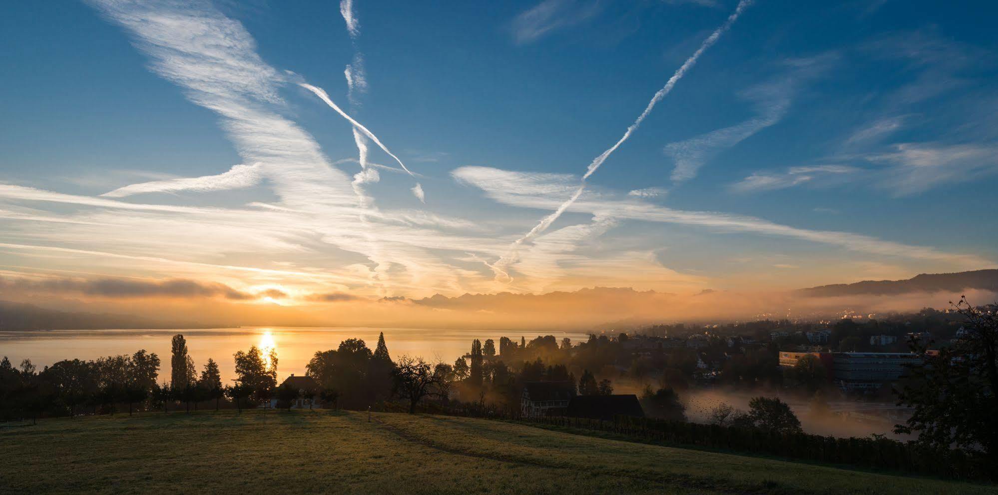 Landgasthof Halbinsel Au Wädenswil Exterior foto
