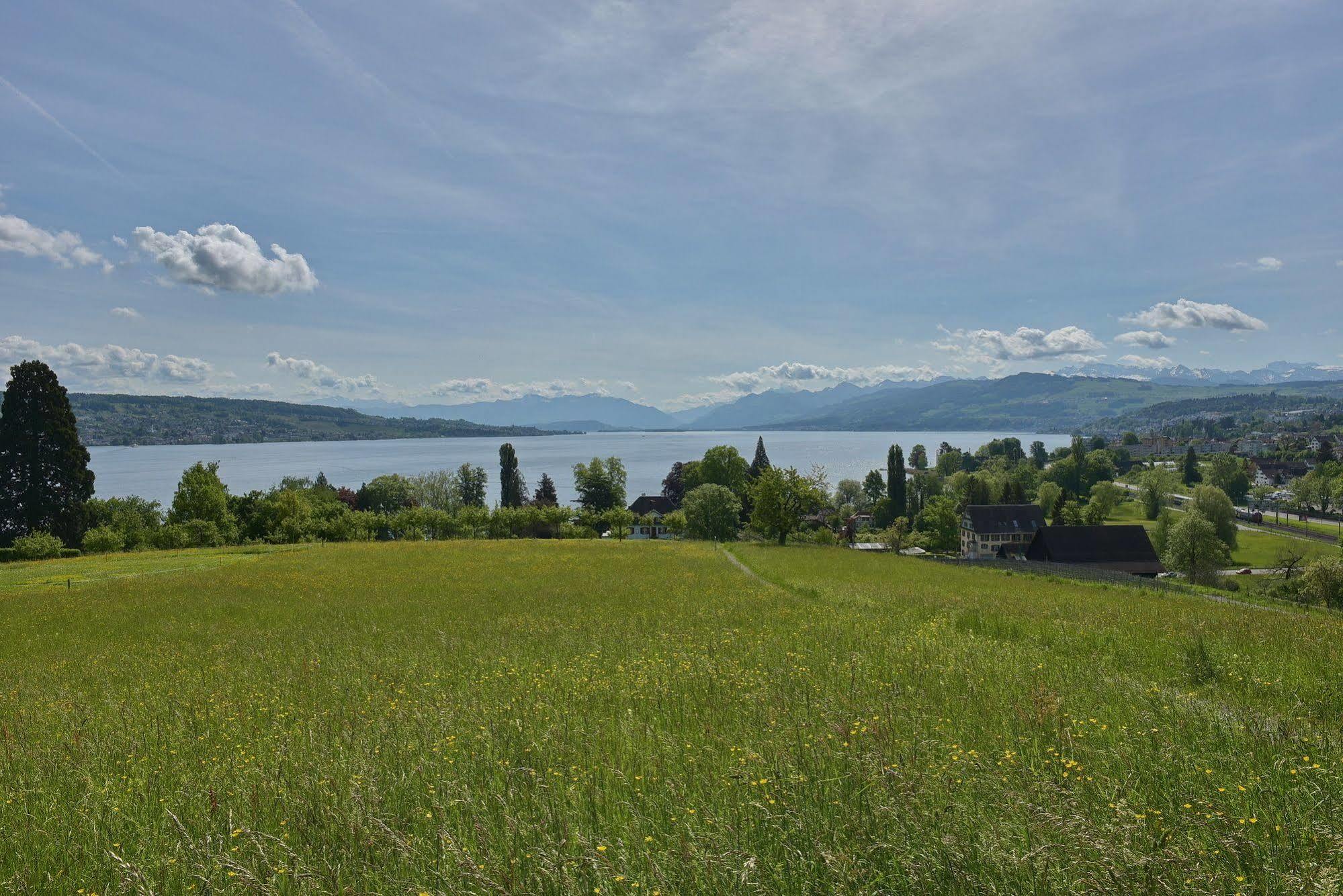 Landgasthof Halbinsel Au Wädenswil Exterior foto